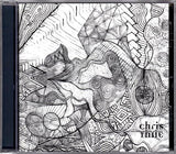 Chris Thile : Not All Who Wander Are Lost (CD, Album)