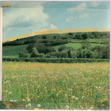 Peter Gabriel : I Don't Remember (7", Single)