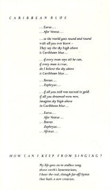 Enya : Shepherd Moons (Cass, Album)