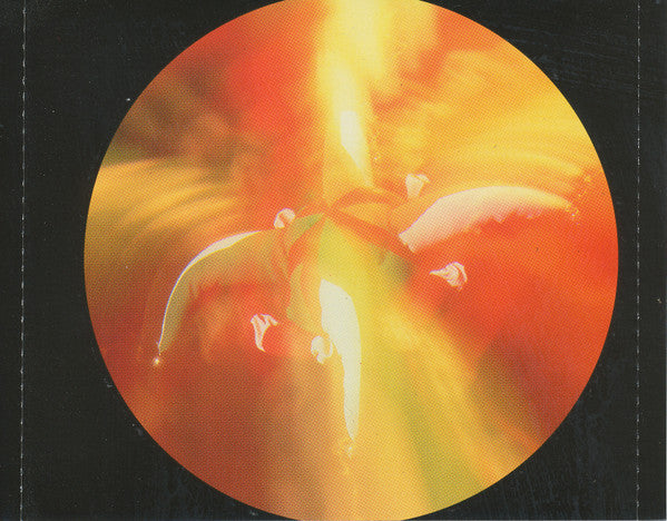 In Flames : The Jester Race (CD, Album)