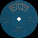 Brendan Shine : The Village Where I Went To School (7", Single)