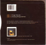 Runrig : Things That Are (7", Single)