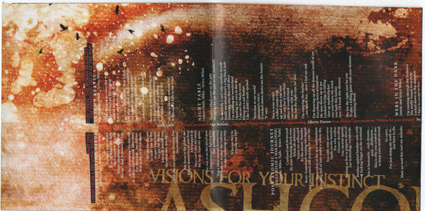 Ashcorn - Visions From Your Instinct (CD) (Near Mint (NM Or M-)) - DaddyPop