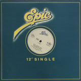 Isley Jasper Isley : Caravan Of Love (12", Gen)