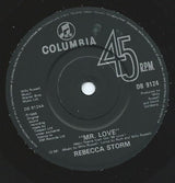 Rebecca Storm : Mr Love (7", Single)