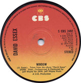 David Essex : Gonna Make You A Star (7", Single, Sol)