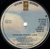 Andrew Gold - Never Let Her Slip Away (7) (Very Good (VG)) - DaddyPop