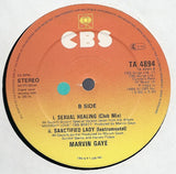 Marvin Gaye : Sanctified Lady (12")