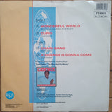 Sam Cooke - Wonderful World (12) (Very Good (VG)) - DaddyPop