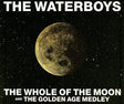 The Waterboys : The Whole Of The Moon (CD, Single)