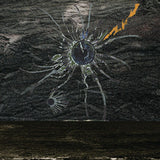 Frogbelly And Symphony : The Eye (CD, Promo)