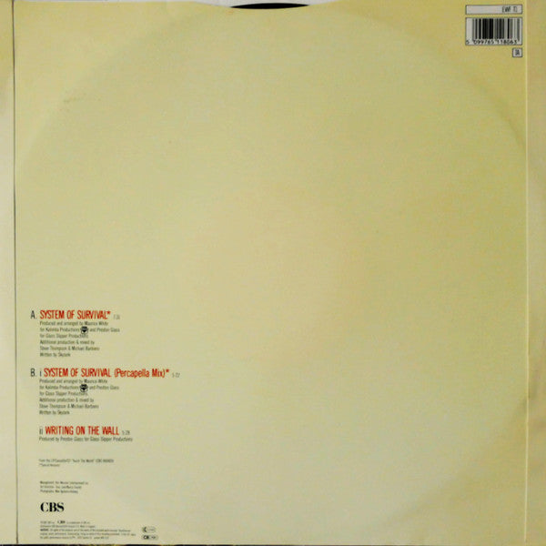 Earth, Wind & Fire : System Of Survival (12")