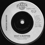 Pointer Sisters : I'm So Excited (7", Single, Sil)