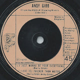 Andy Gibb - An Everlasting Love (7) (Very Good Plus (VG)) - DaddyPop