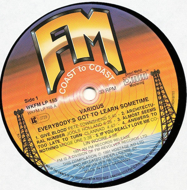 Various : Everybody's Got To Learn Sometime (2xLP, Comp, Gat)