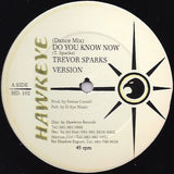 Trevor Sparks : Do You Know Now (12")