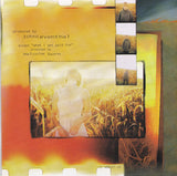 Shawn Colvin : A Few Small Repairs (CD, Album)