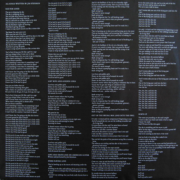 Jim Steinman - Bad For Good (LP) (Very Good Plus (VG)) - DaddyPop