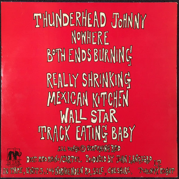 Janitors : Thunderhead (LP, MiniAlbum)