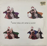 Sister Bliss - Oh! What A World (12) (Very Good Plus (VG)) - DaddyPop