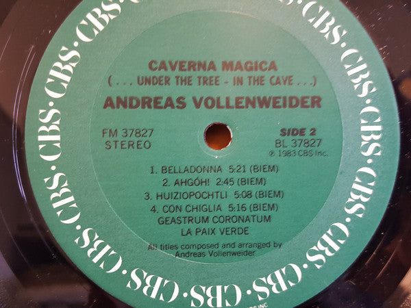 Andreas Vollenweider : Caverna Magica (...Under The Tree - In The Cave...) (LP, Album, Pit)