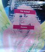 Steve Vai : Passion And Warfare (CD, Album, RE, RP)