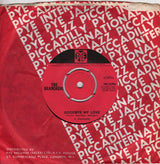 The Searchers : Goodbye My Love (7", Single)
