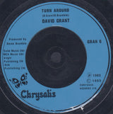 David Grant & Jaki Graham : Could It Be I'm Falling In Love (7", Single, Sol)