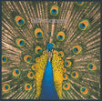 The Bluetones : Expecting To Fly (CD, Album)