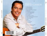 David Cassidy : Then And Now (CD, Album)